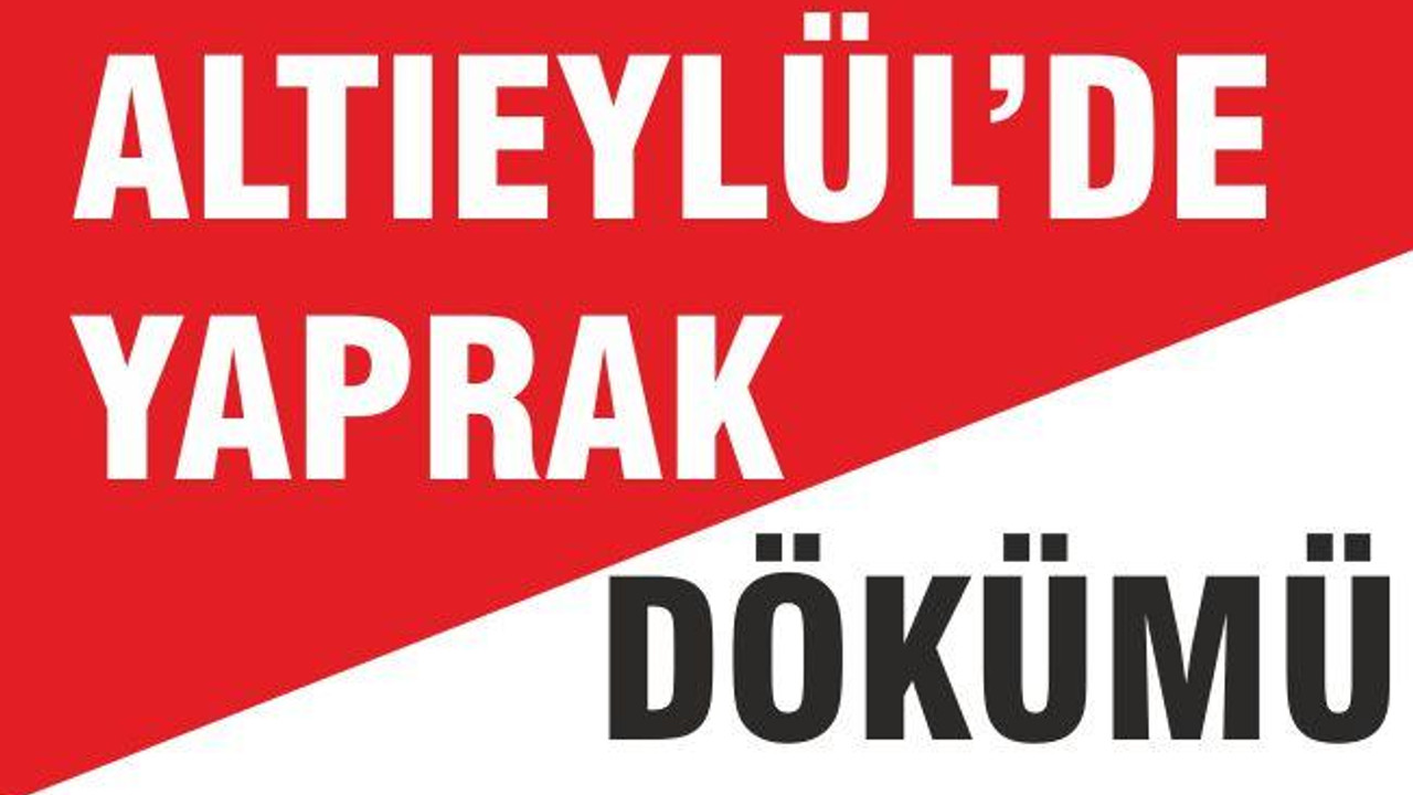 ALTIEYLÜL’DE YAPRAK DÖKÜMÜ