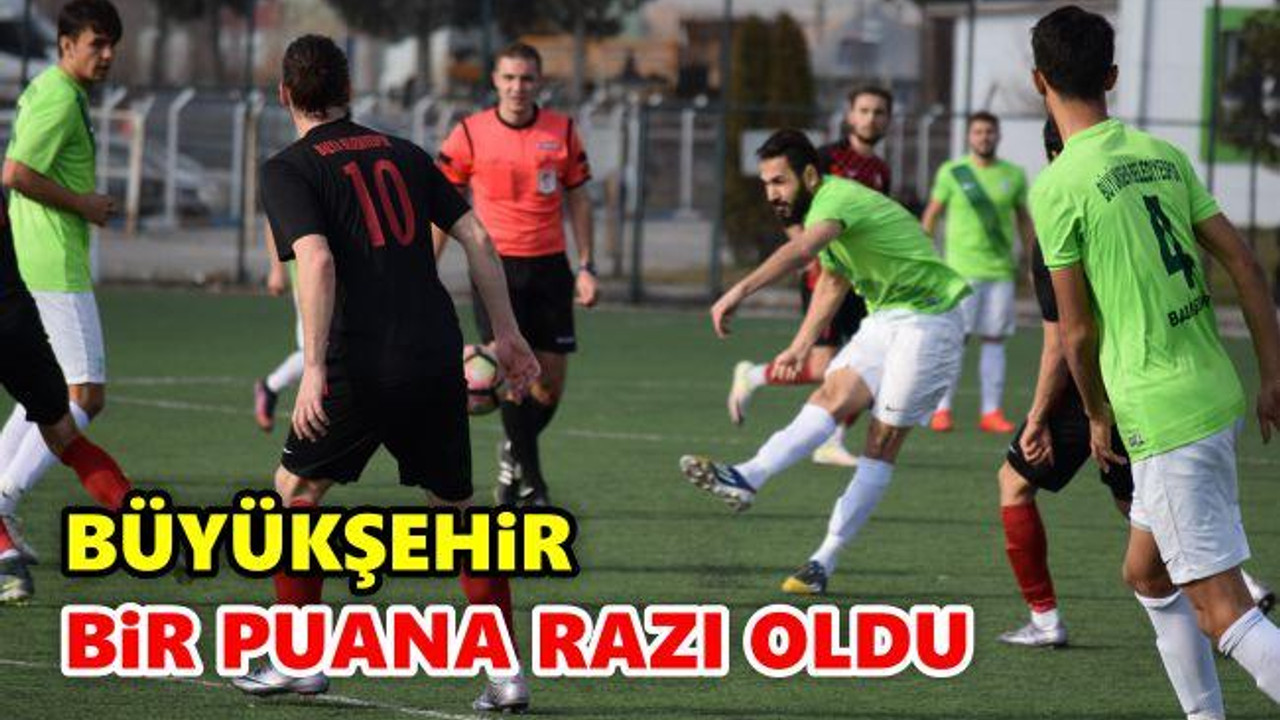 Puanlar Kardeş Payı