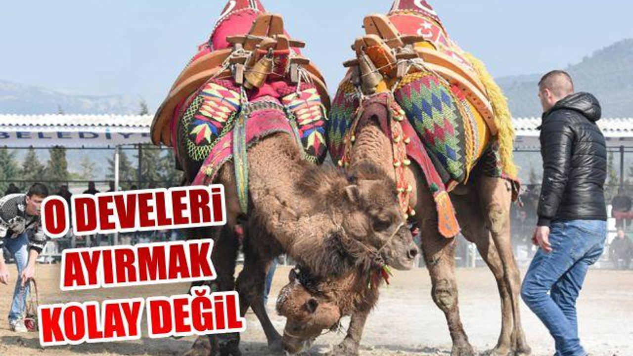 O develeri Ayırmak Kolay Değil