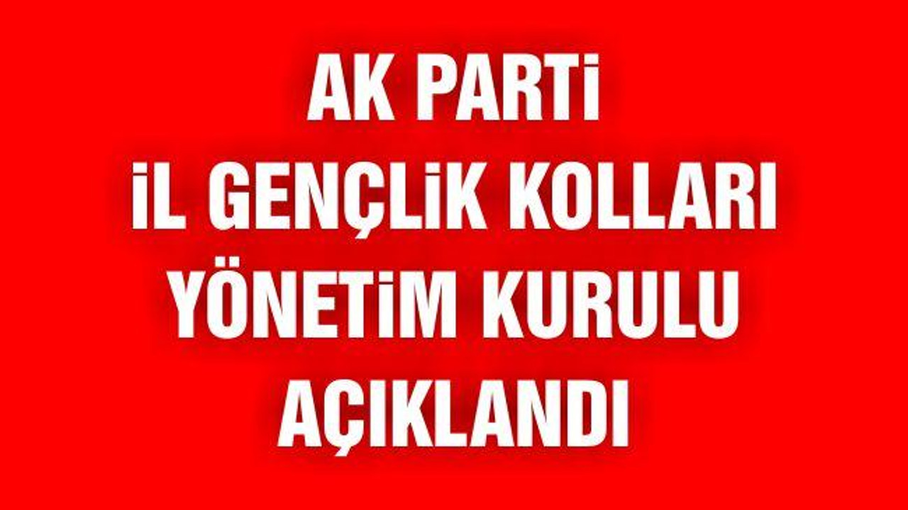 Ak Parti İl Gençlik Kolları Yönetim Kurulu Açıklandı