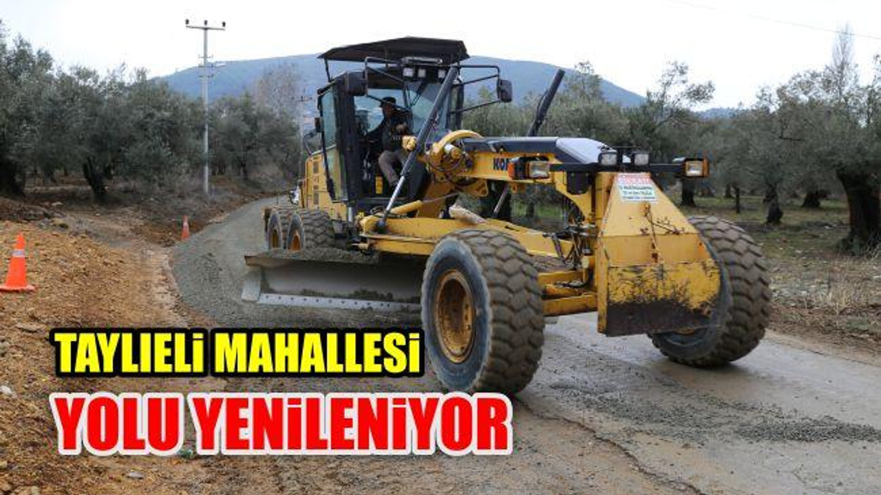 Taylıeli Mahallesi Yolu Yenileniyor