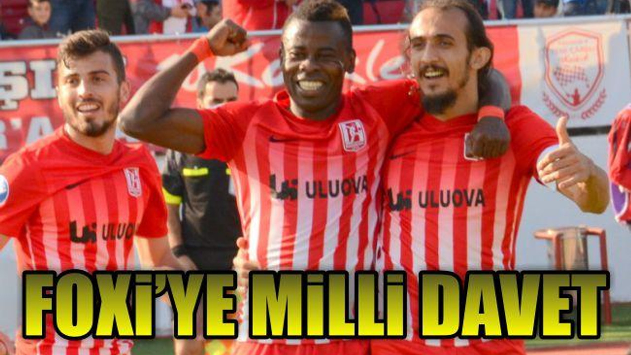 Foxi'ye Milli Davet