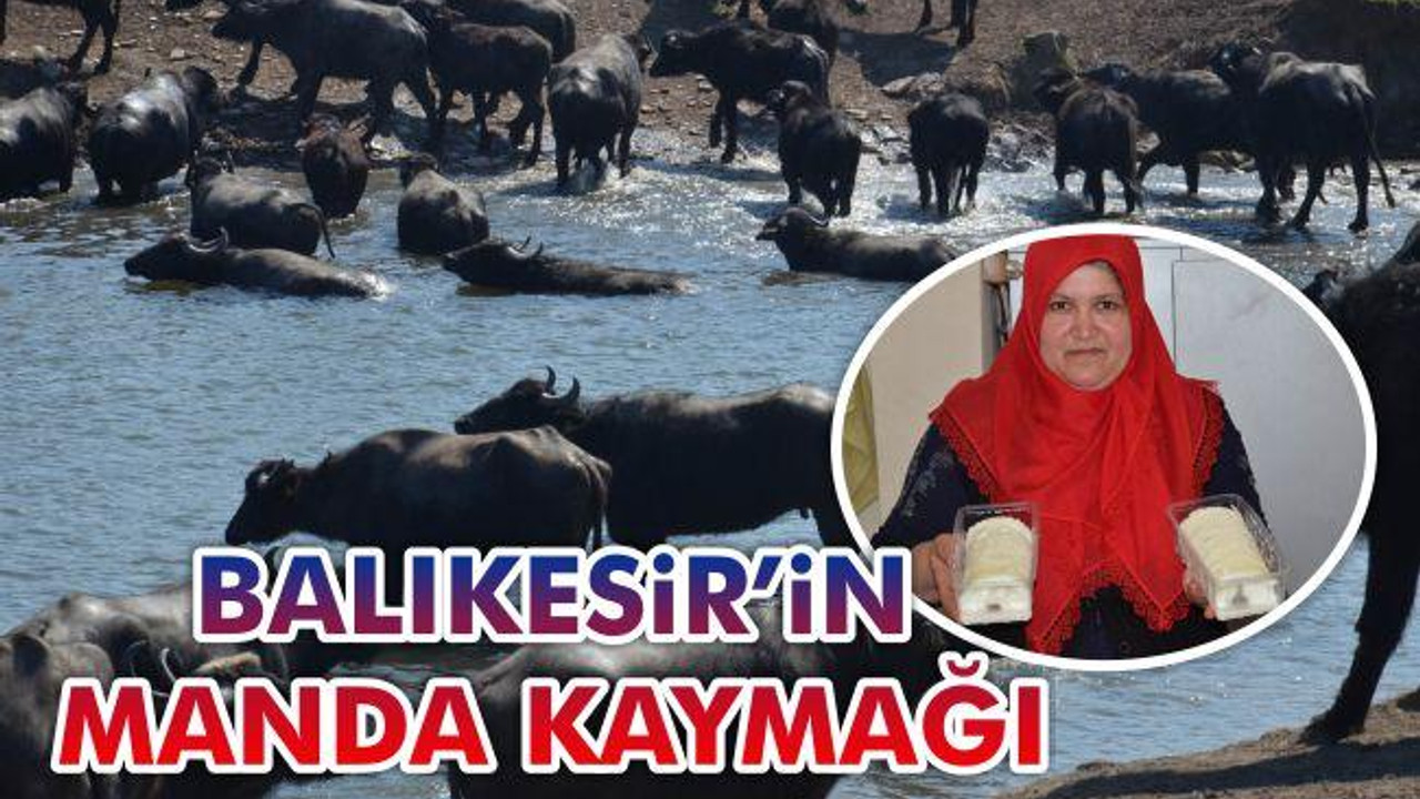 Balıkesir'in Manda Kaymağı