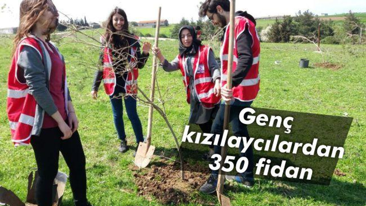 Genç kızılaycılardan 350 fidan