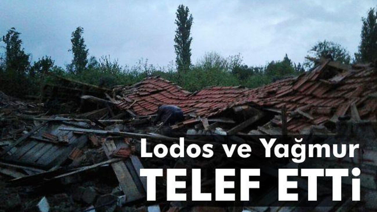 Lodos ve yağmur telef etti