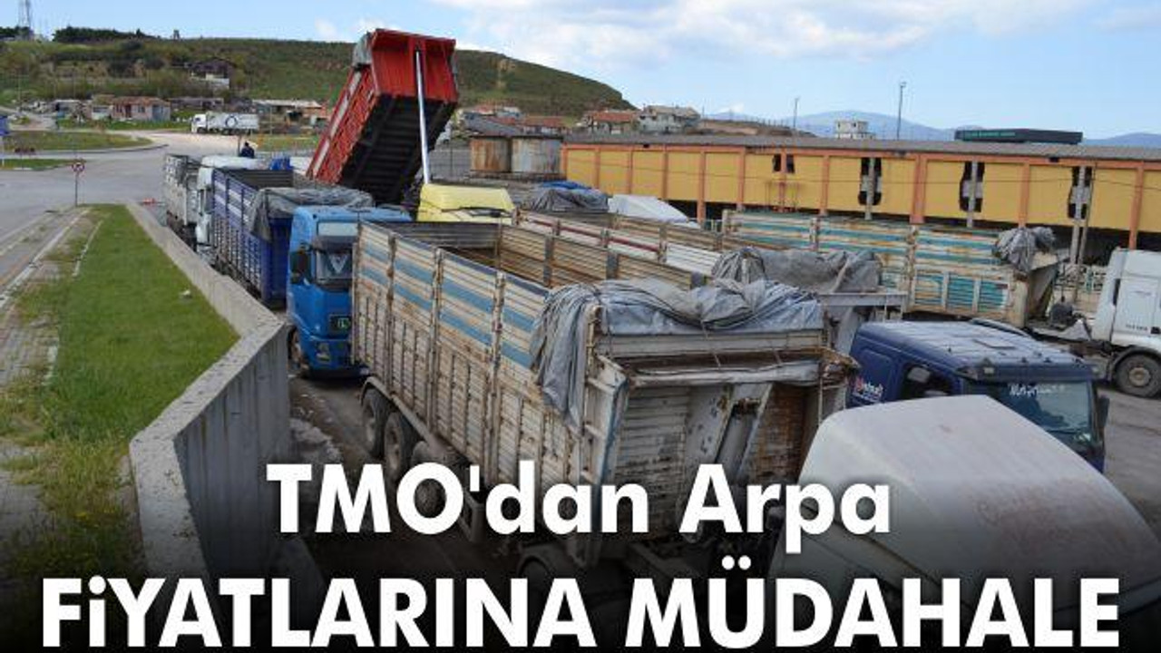 TMO'dan arpa fiyatlarına müdahale