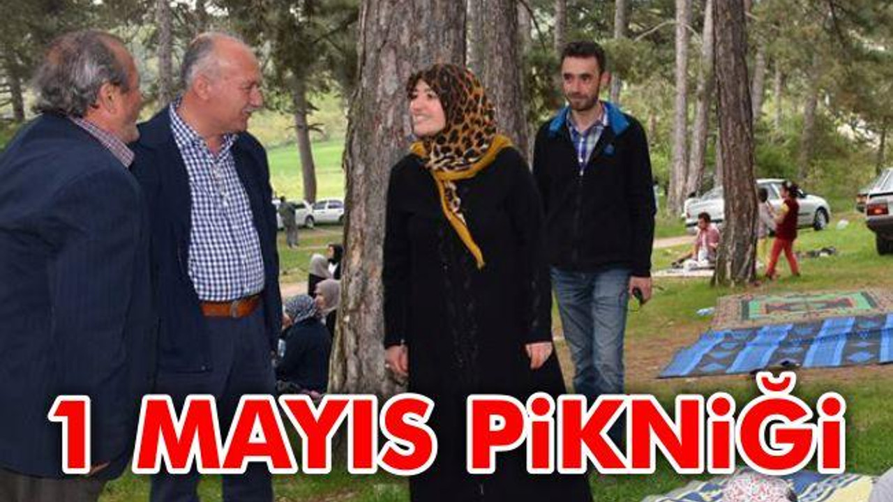 1 Mayıs Pikniği