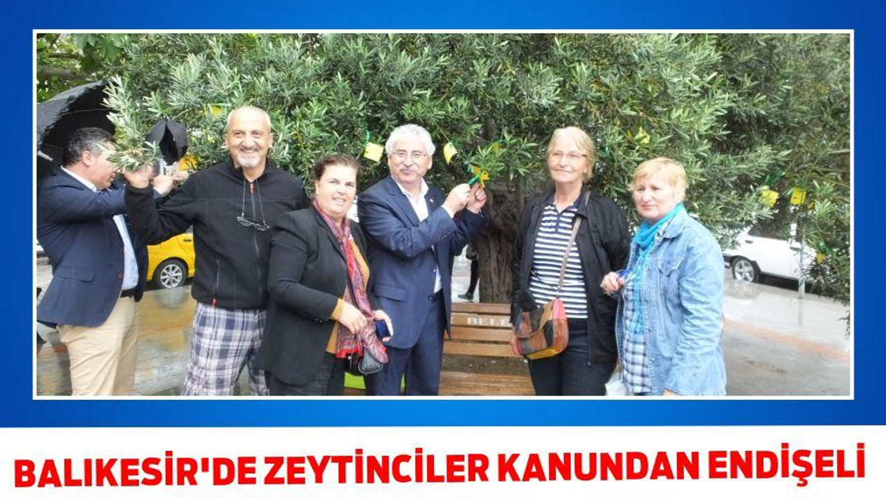 Balıkesir'de zeytinciler kanundan endişeli
