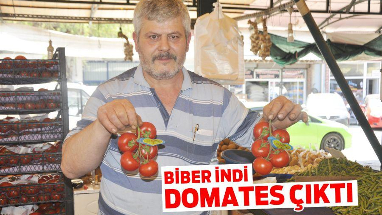 BİBER İNDİ DOMATES ÇIKTI