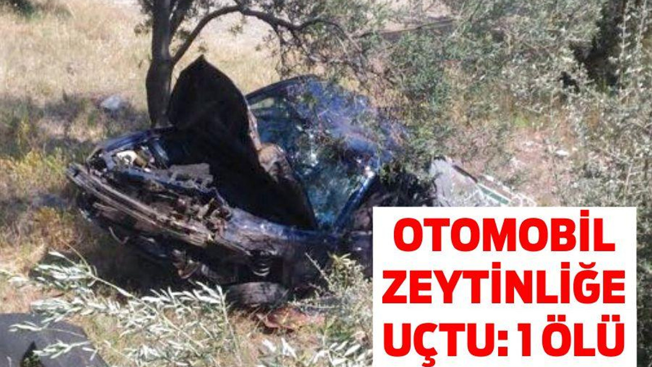 OTOMOBİL ZEYTİNLİĞE UÇTU: 1 ÖLÜ
