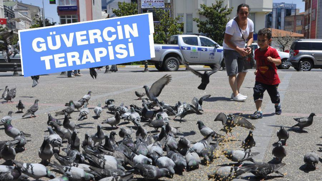 GÜVERCİN TERAPİSİ