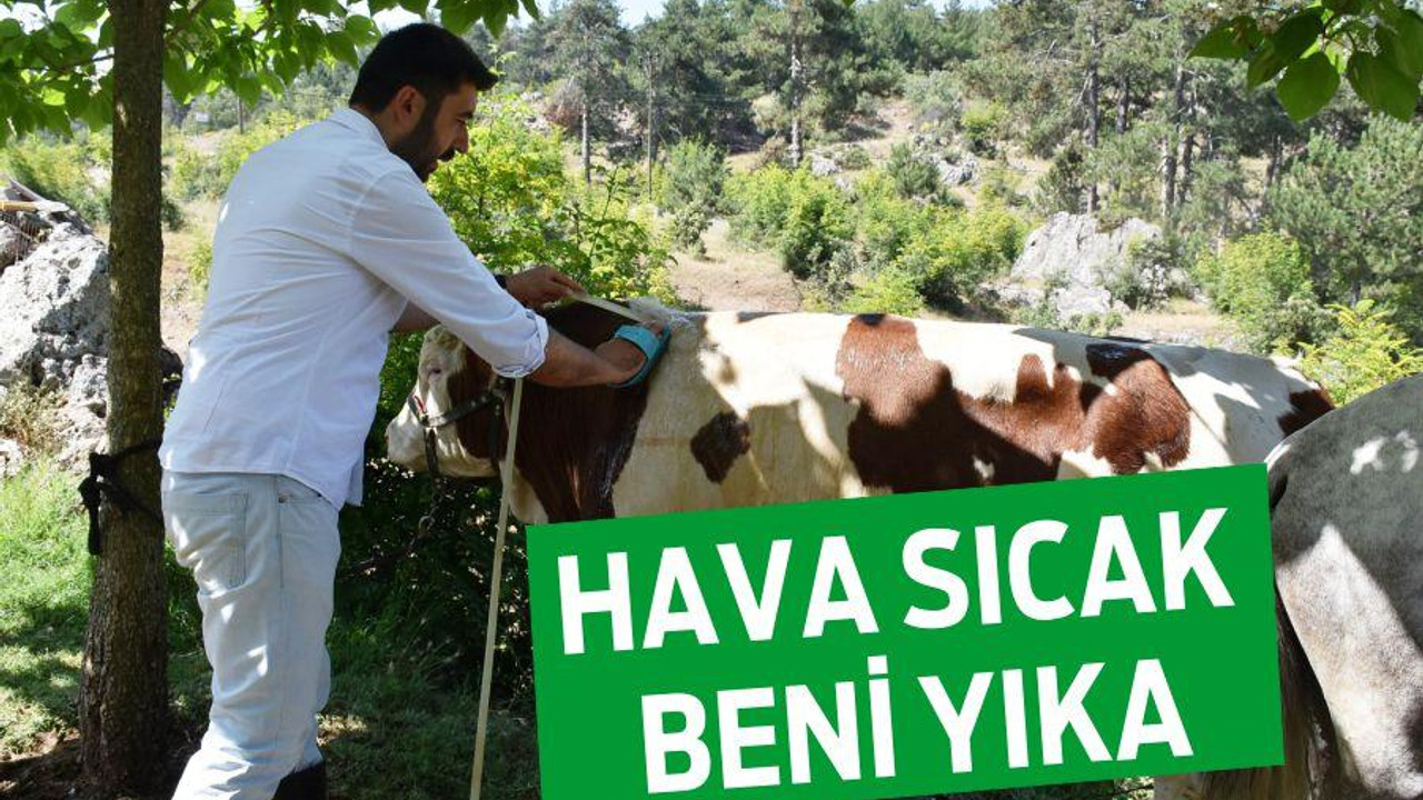 HAVA SICAK BENİ YIKA