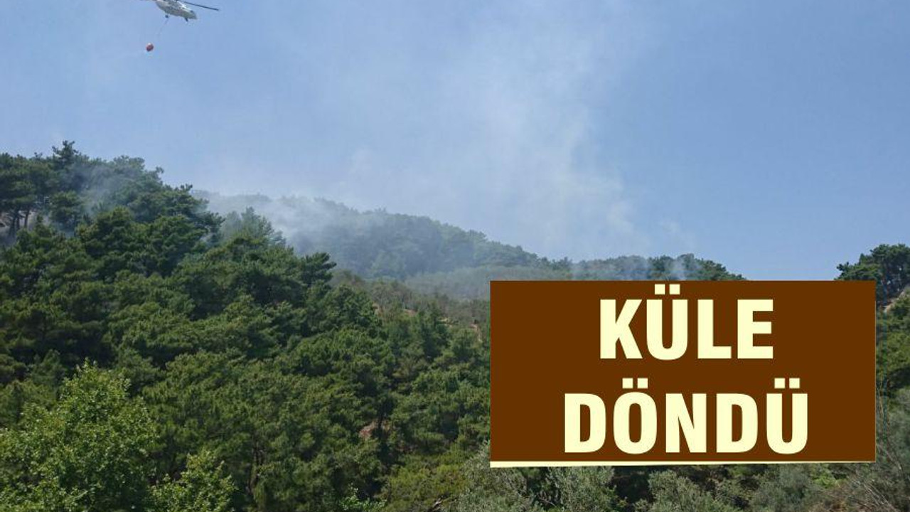 KÜLE DÖNDÜ