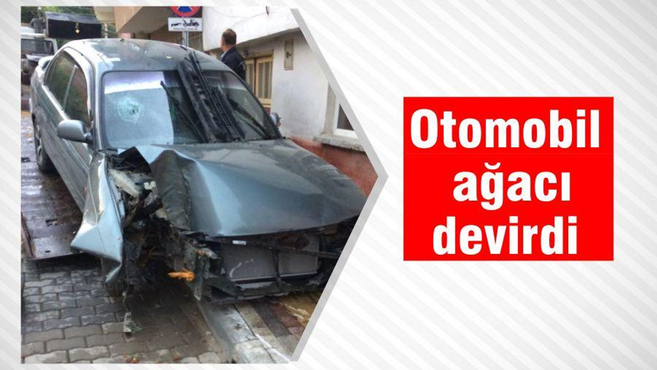 Otomobil ağacı devirdi