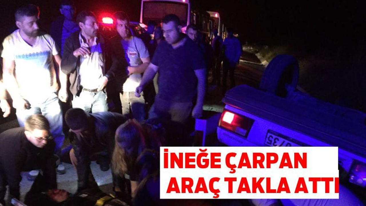 İneğe çarpan araç takla attı