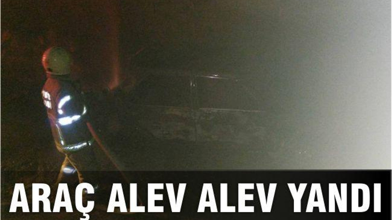 ARAÇ ALEV ALEV YANDI