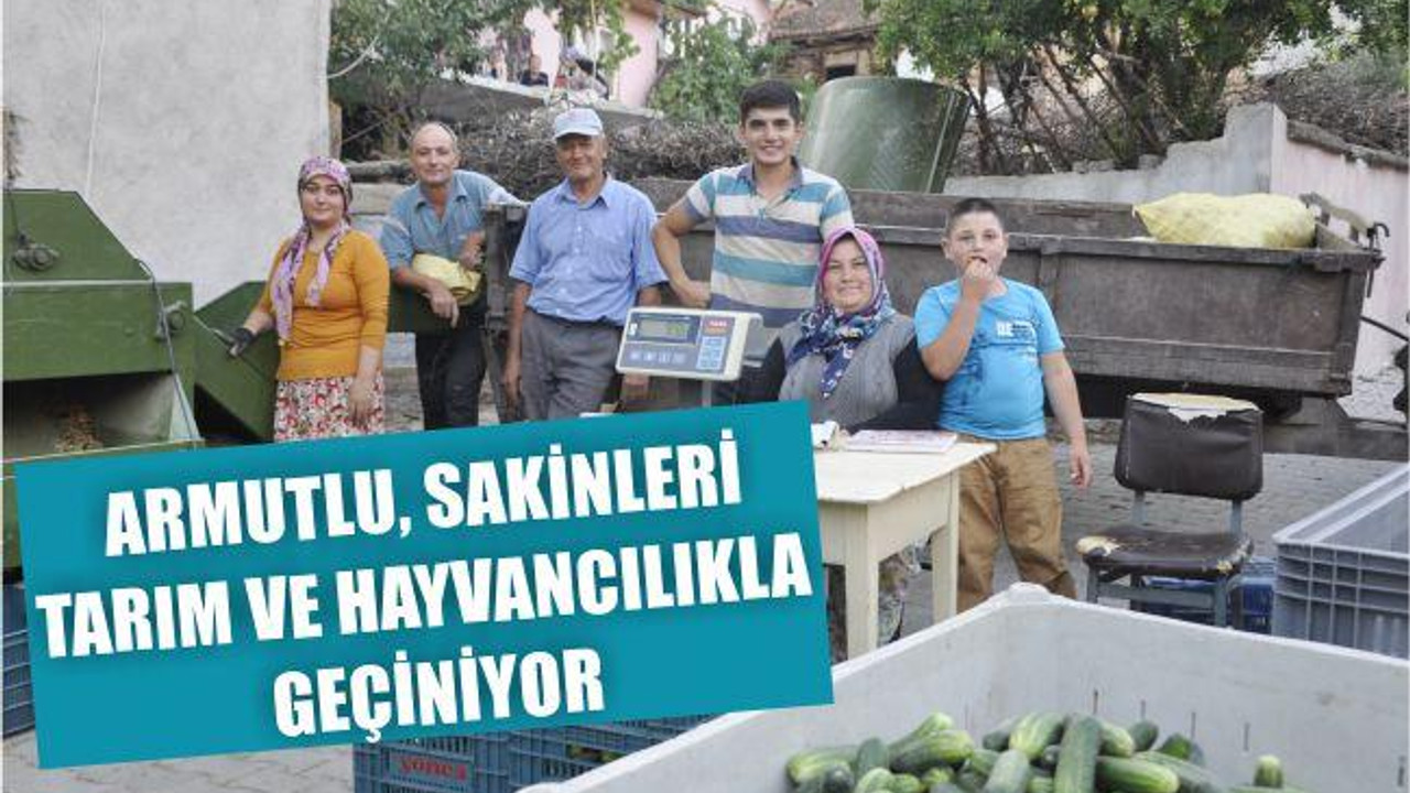 Armutlu, sakinleri tarım ve hayvancılıkla geçiniyor