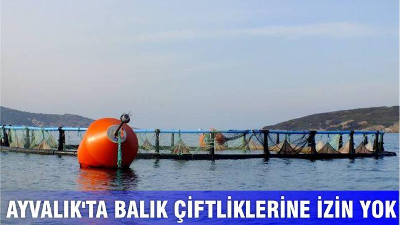 Ayvalık'ta balık çiftliklerine izin yok