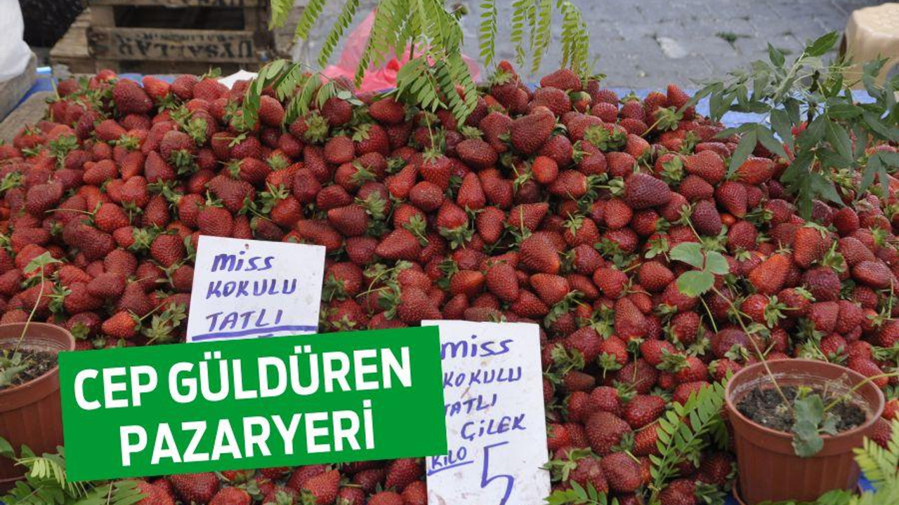 CEP GÜLDÜREN PAZARYERİ