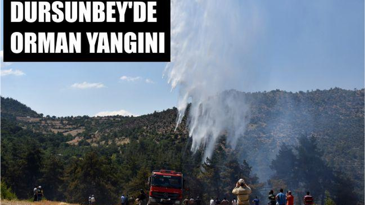 Dursunbey'de orman yangını
