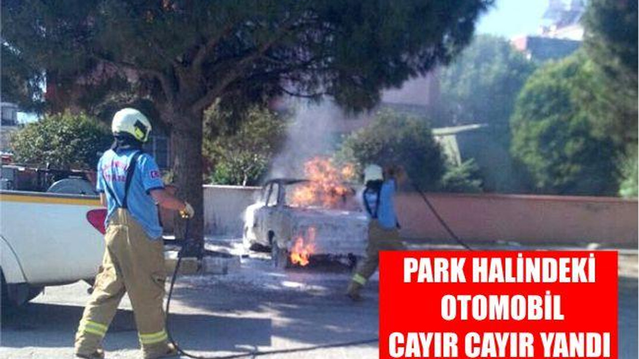Park halindeki otomobil cayır cayır yandı