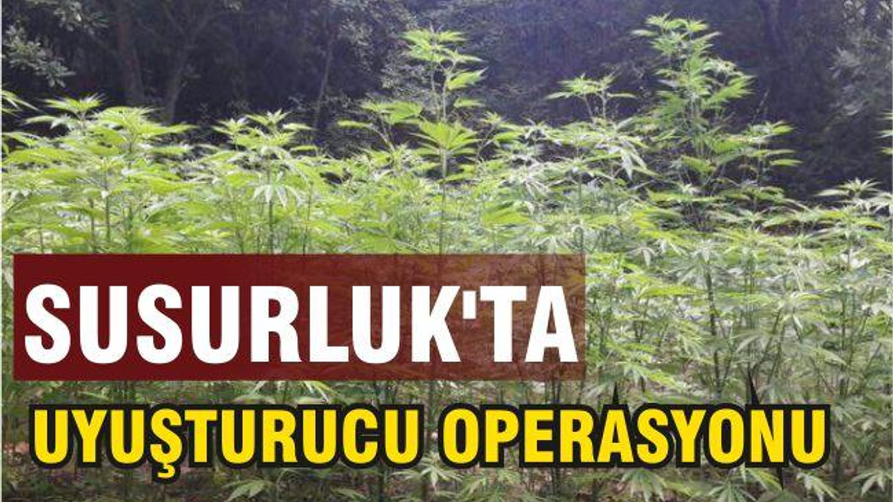 Susurluk'ta Uyuşturucu Operasyonu