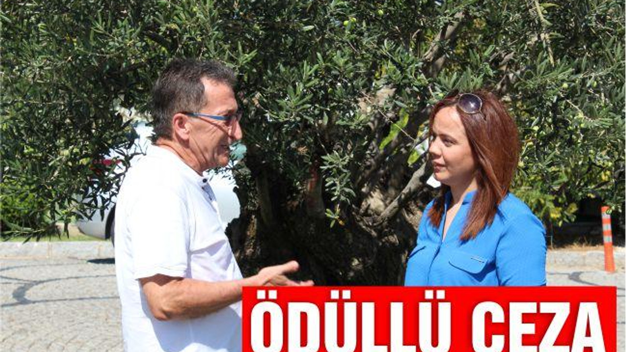 ÖDÜLLÜ CEZA
