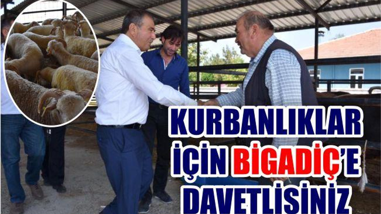 Başkan Avcu'dan Kurban Çağrısı