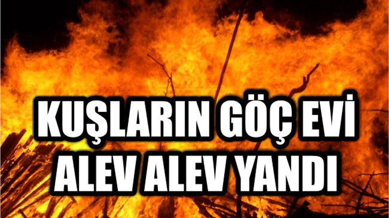 Kuşların Göç Evi Yandı