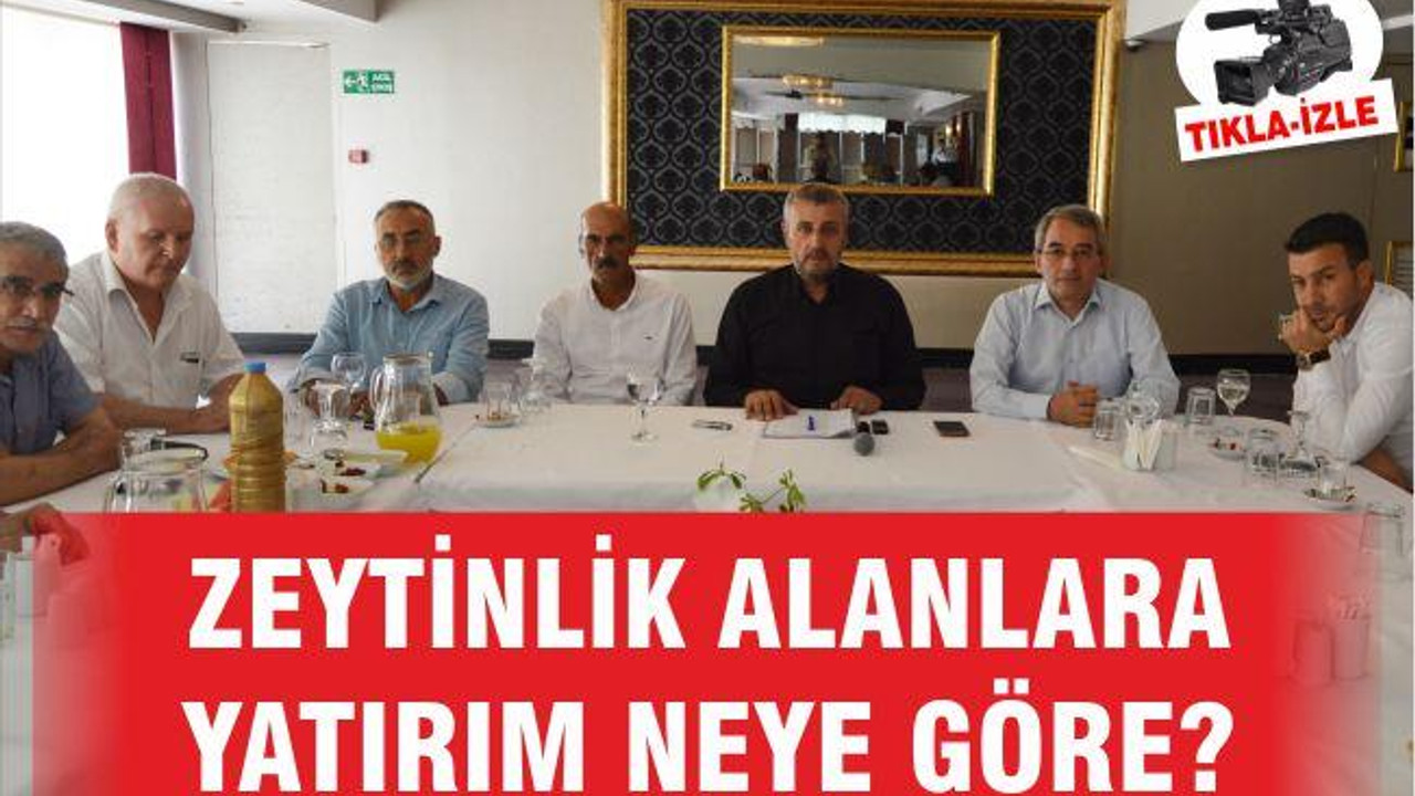 ZEYTİNLİK ALANLARA YATIRIM NEYE GÖRE?