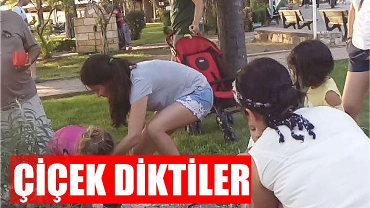 Çiçek diktiler