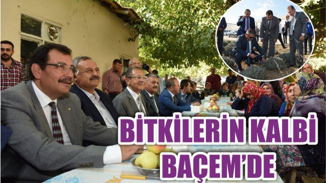 BİTKİLERİN KALBİ BAÇEM’DE
