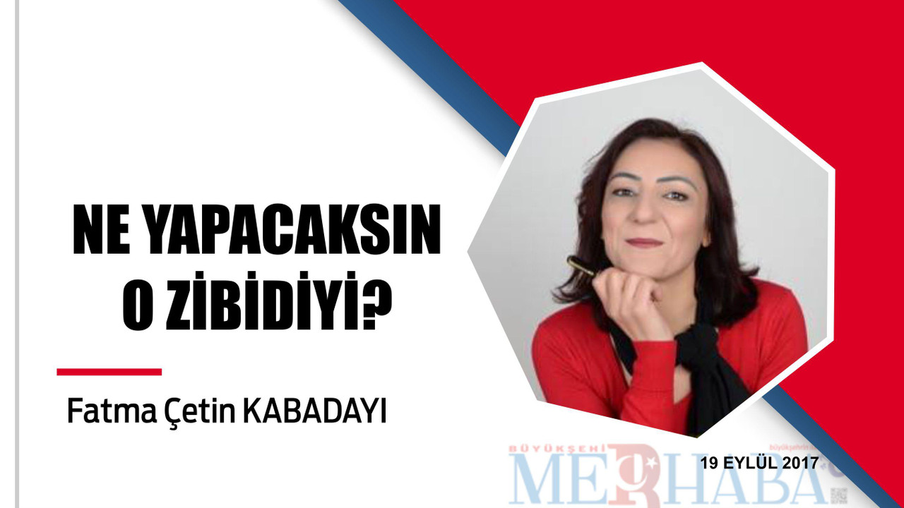 NE YAPACAKSIN O ZİBİDİYİ?