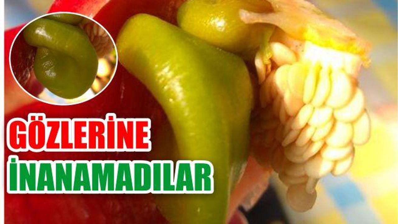 Kırmızı Biberin İçinden Yeşil Biber Çıktı