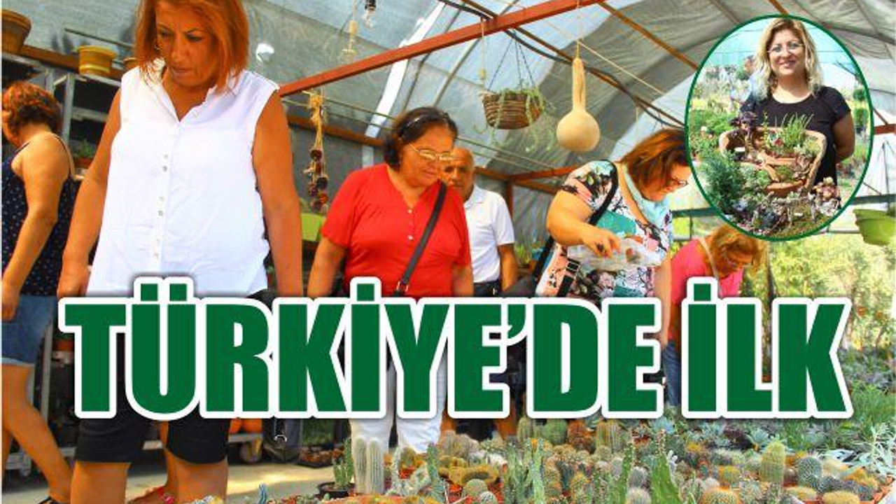 Türkiye’nin İlk Kaktüs Festivali