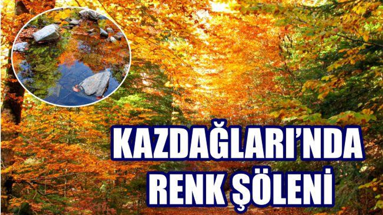 Kazdağları'nda Kırmızı ve Sarının Görsel Şöleni