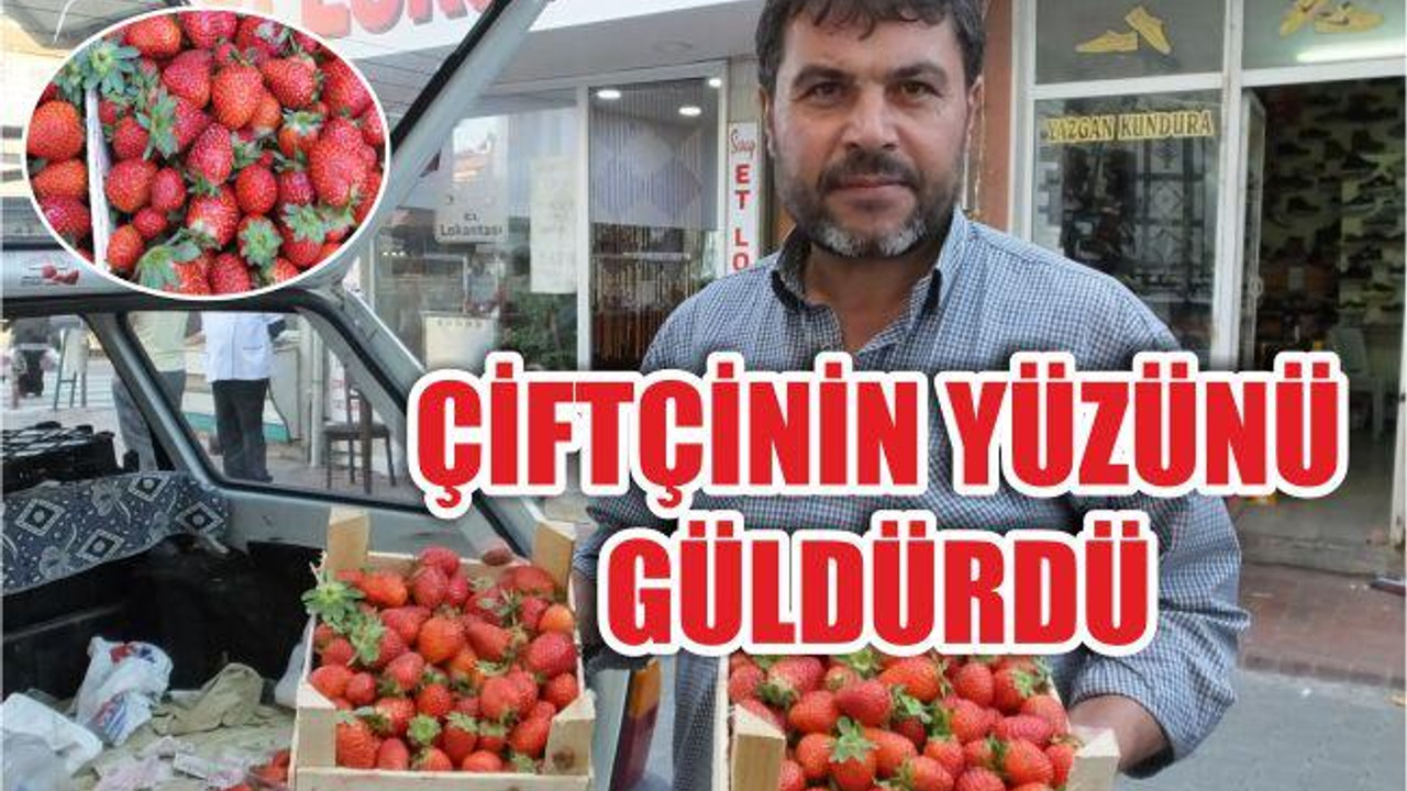 Organik Çilek Çiftçinin Yüzünü Güldürdü
