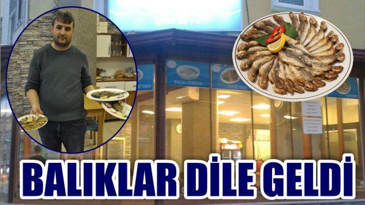 BALIKLAR DİLE GELDİ
