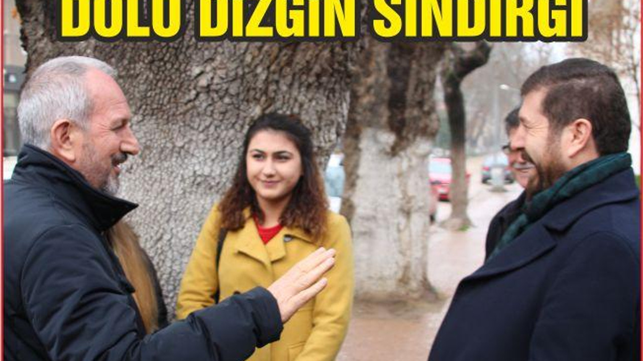 DOLU DİZGİN SINDIRGI