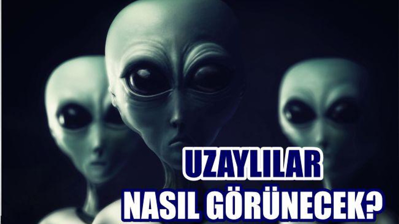 UZAYLILAR NASIL GÖRÜNECEK?