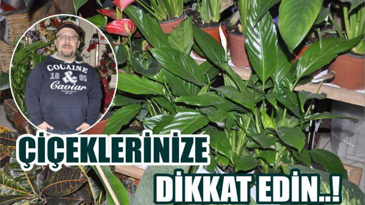 ÇİÇEKLERİNİZE DİKKAT EDİN..!