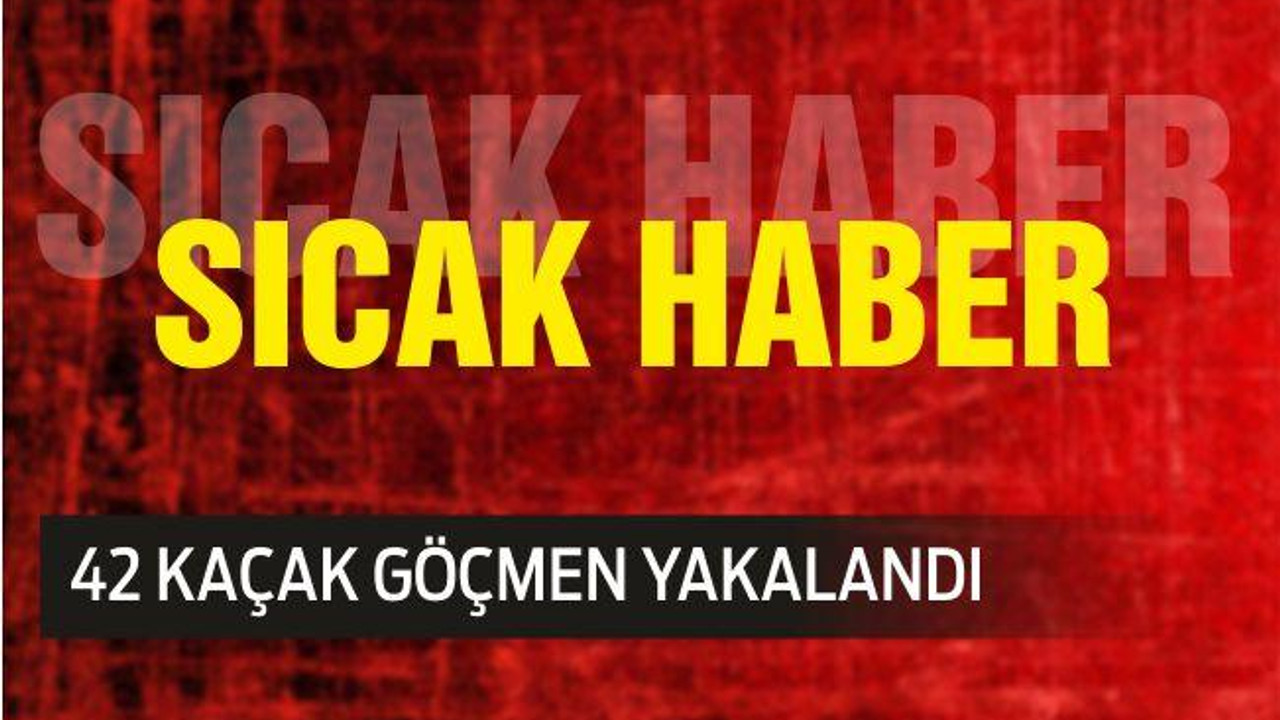 42 KAÇAK GÖÇMEN YAKALANDI