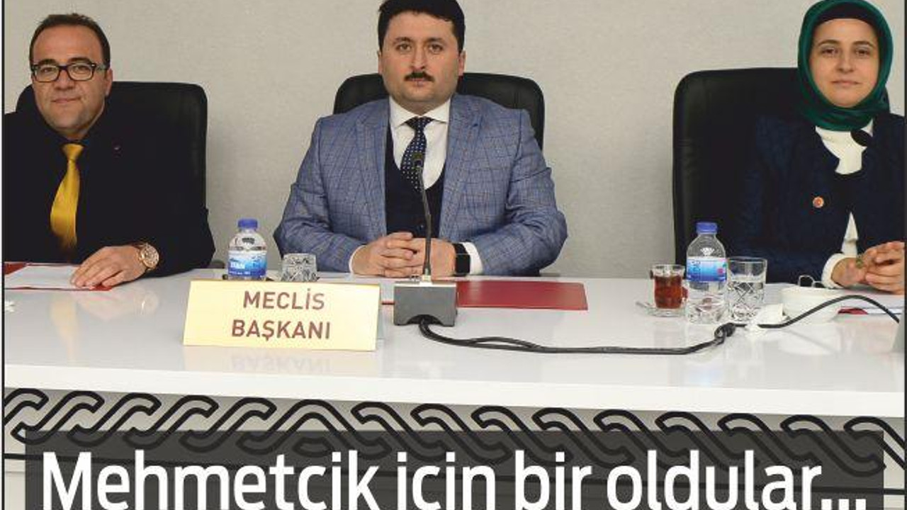 ALTIEYLÜL MECLİSİNDEN AFRİN İÇİN BİRLİK MESAJI