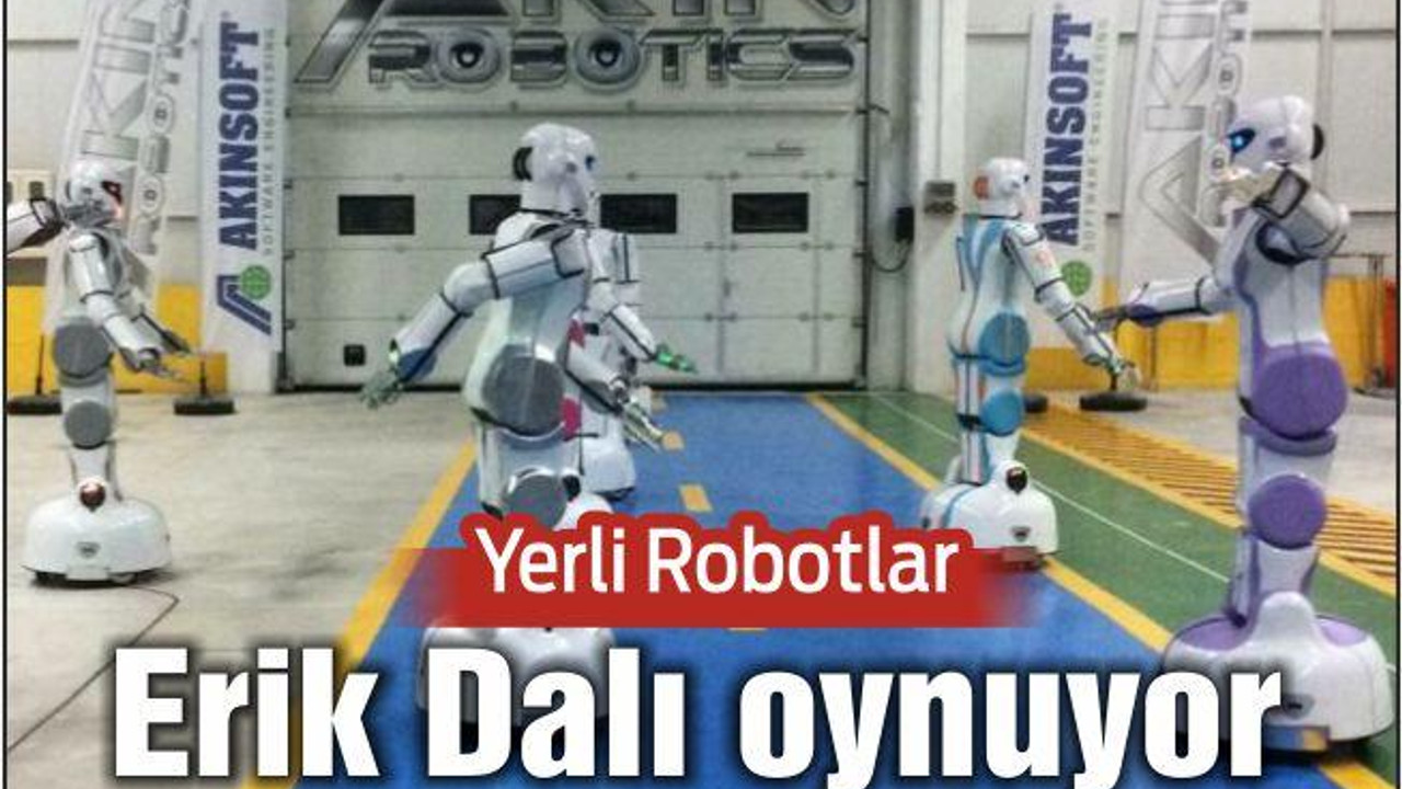 Erik Dalı Oynayabilen Yerli Robot Geliştirildi