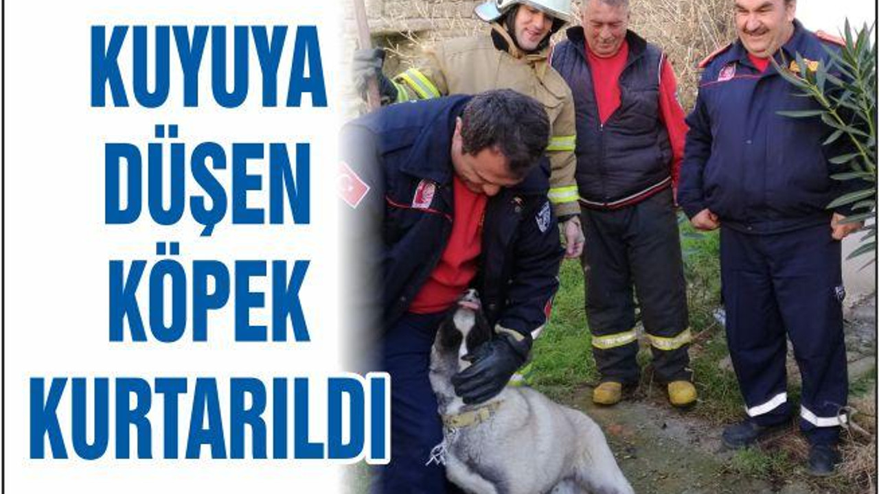 KUYUYA DÜŞEN KÖPEK KURTARILDI...