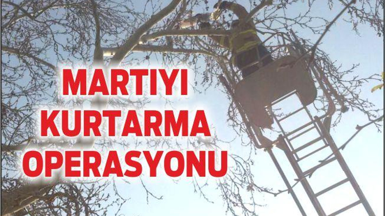 MARTIYI KURTARMA OPERASYONU