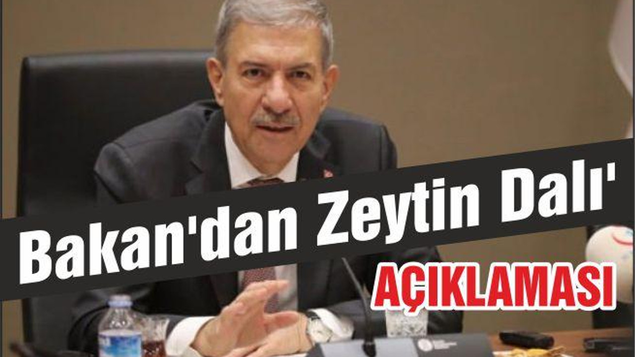 Bakan'dan Zeytin Dalı'yla ilgili çok kritik bilgi
