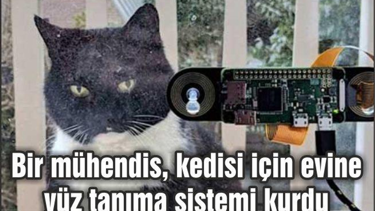 Bir mühendis, kedisi için evine yüz tanıma sistemi kurdu