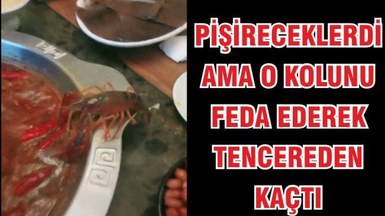 PİŞİRECEKLERDİ AMA O ÇORBA TENCERESİNDEN KAÇTI