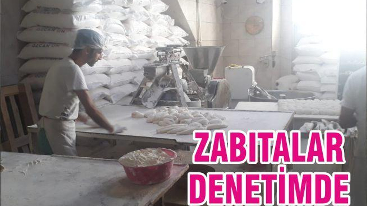 ZABITALAR DENETİMDE